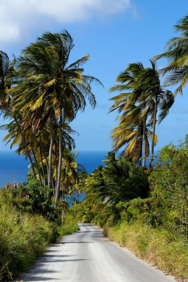 Moving to Barbados? 2025 Living Costs & Relocation Tips