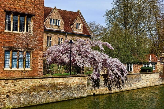 Viviendas en Cambridge