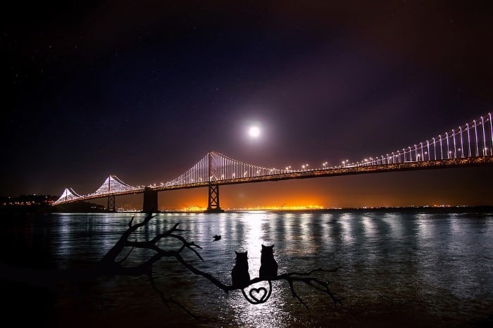 San Francisco-Oakland Bay Bridge