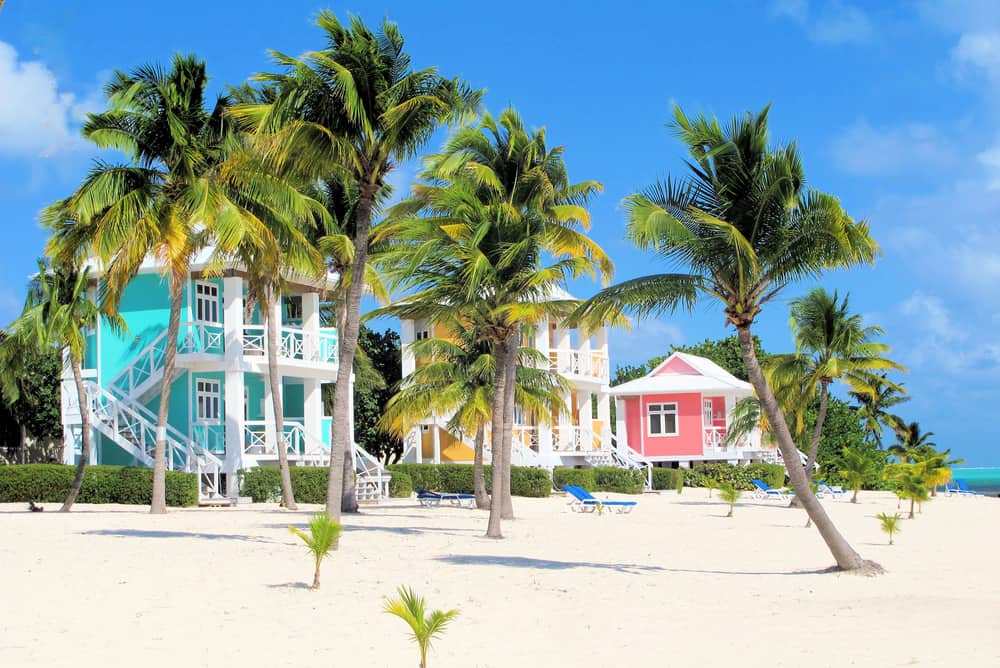 Beach-front properties and palms on the Cayman Islands