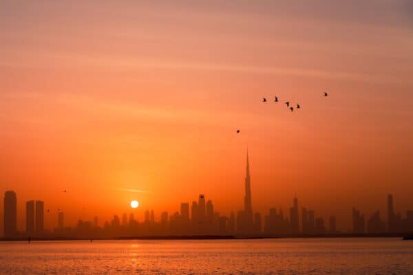 IS UAE WORTH IT visual data 8